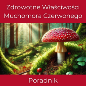 Zdrowotne Właściwości Muchomora Czerwonego – Poradnik